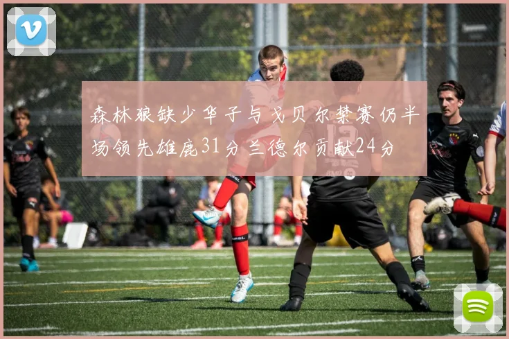 森林狼缺少华子与戈贝尔禁赛仍半场领先雄鹿31分兰德尔贡献24分