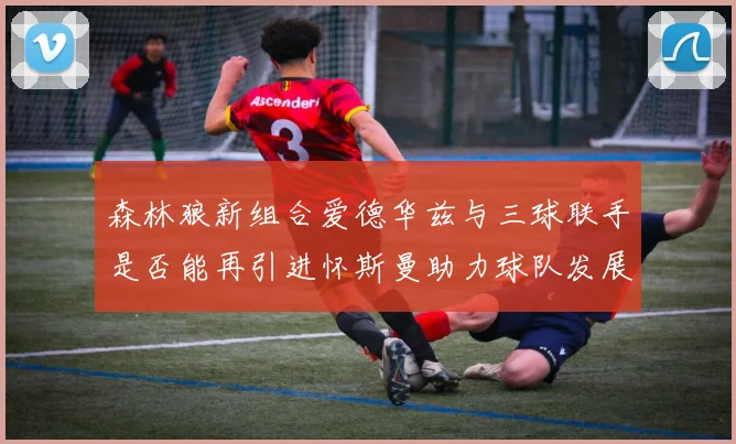 森林狼新组合爱德华兹与三球联手是否能再引进怀斯曼助力球队发展